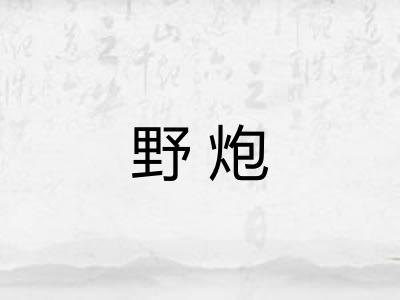 野炮