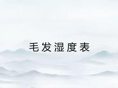 毛发湿度表
