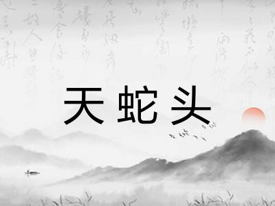 天蛇头