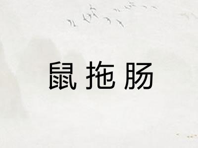 鼠拖肠
