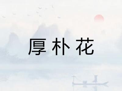 厚朴花