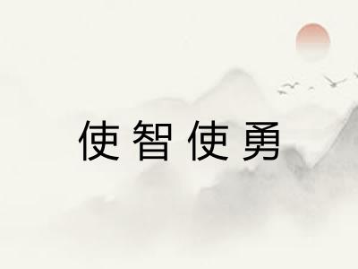 使智使勇