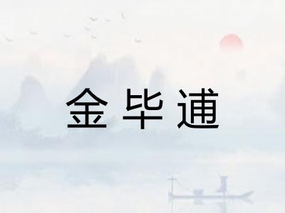 金毕逋