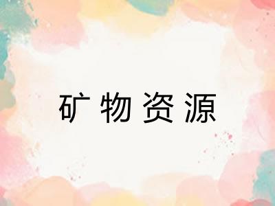 矿物资源