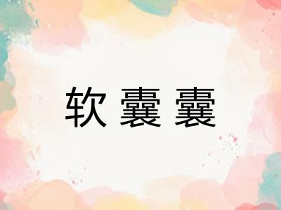 软囊囊