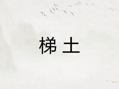 梯土