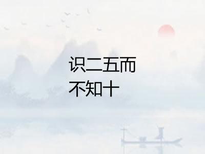 识二五而不知十