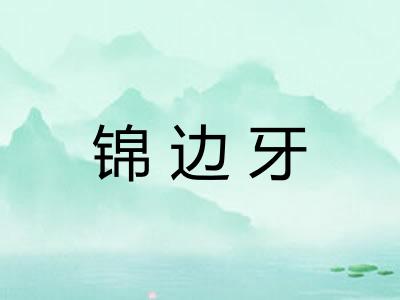 锦边牙
