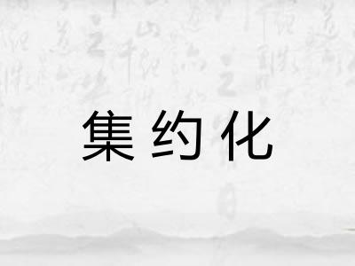 集约化