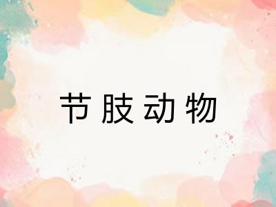 节肢动物
