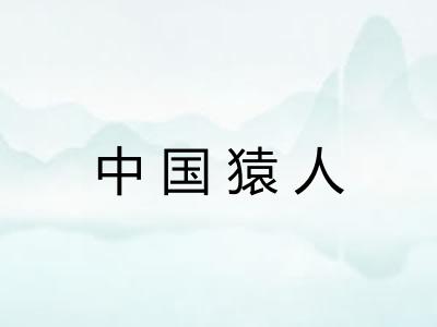 中国猿人