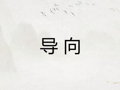 导向