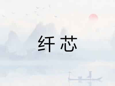 纤芯