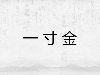 一寸金