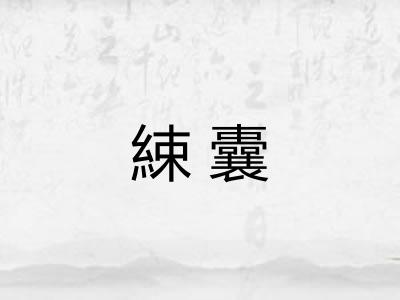 綀囊