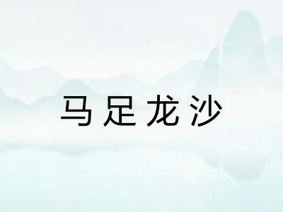 马足龙沙