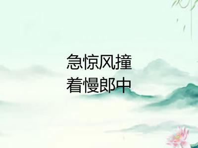 急惊风撞着慢郎中