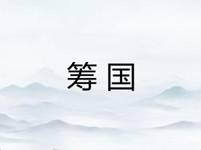 筹国