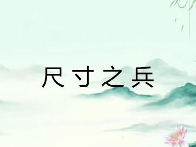 尺寸之兵
