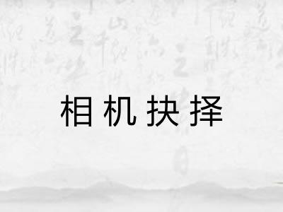 相机抉择