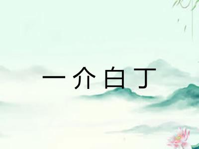 一介白丁