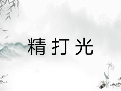 精打光