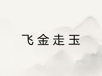飞金走玉