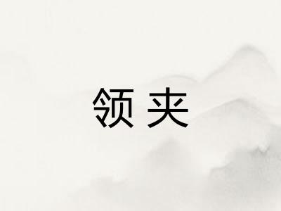 领夹
