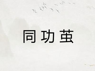 同功茧