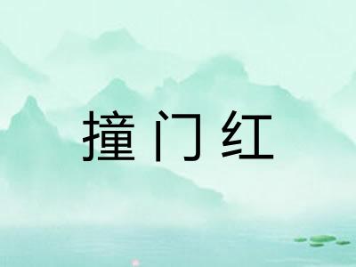 撞门红