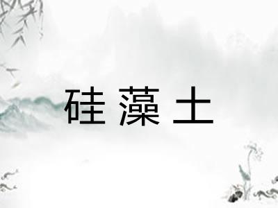 硅藻土