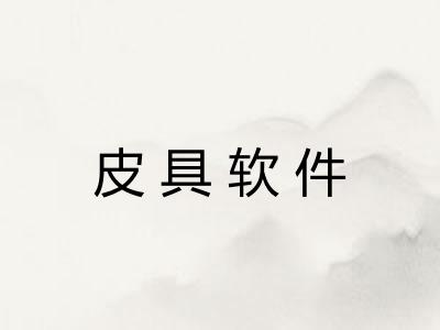 皮具软件