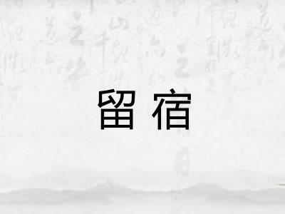 留宿