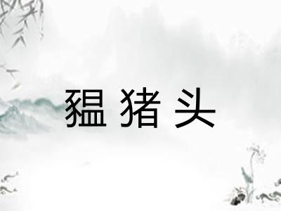 豱猪头