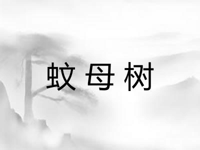 蚊母树