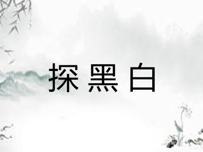 探黑白