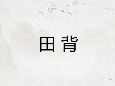 田背