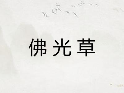 佛光草