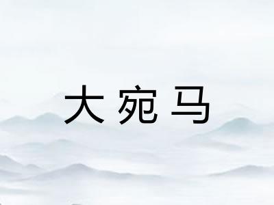大宛马