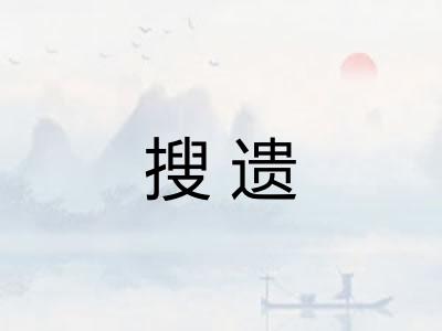 搜遗
