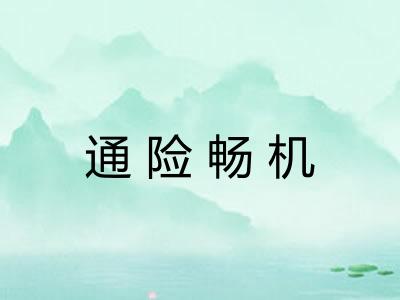 通险畅机