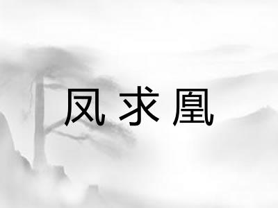 凤求凰