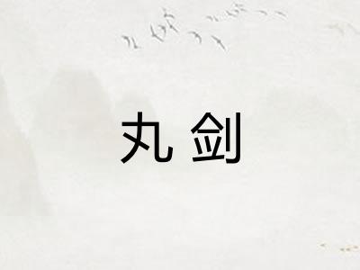 丸剑