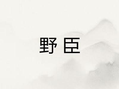 野臣