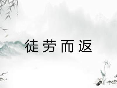 徒劳而返