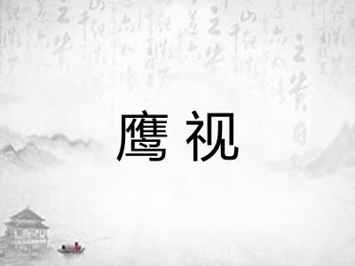 鹰视