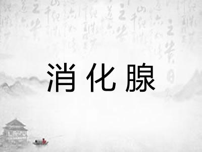 消化腺