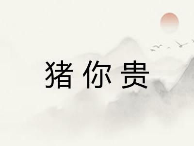 猪你贵