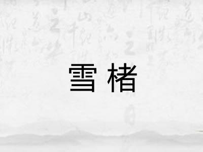 雪楮