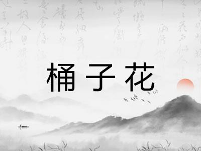 桶子花